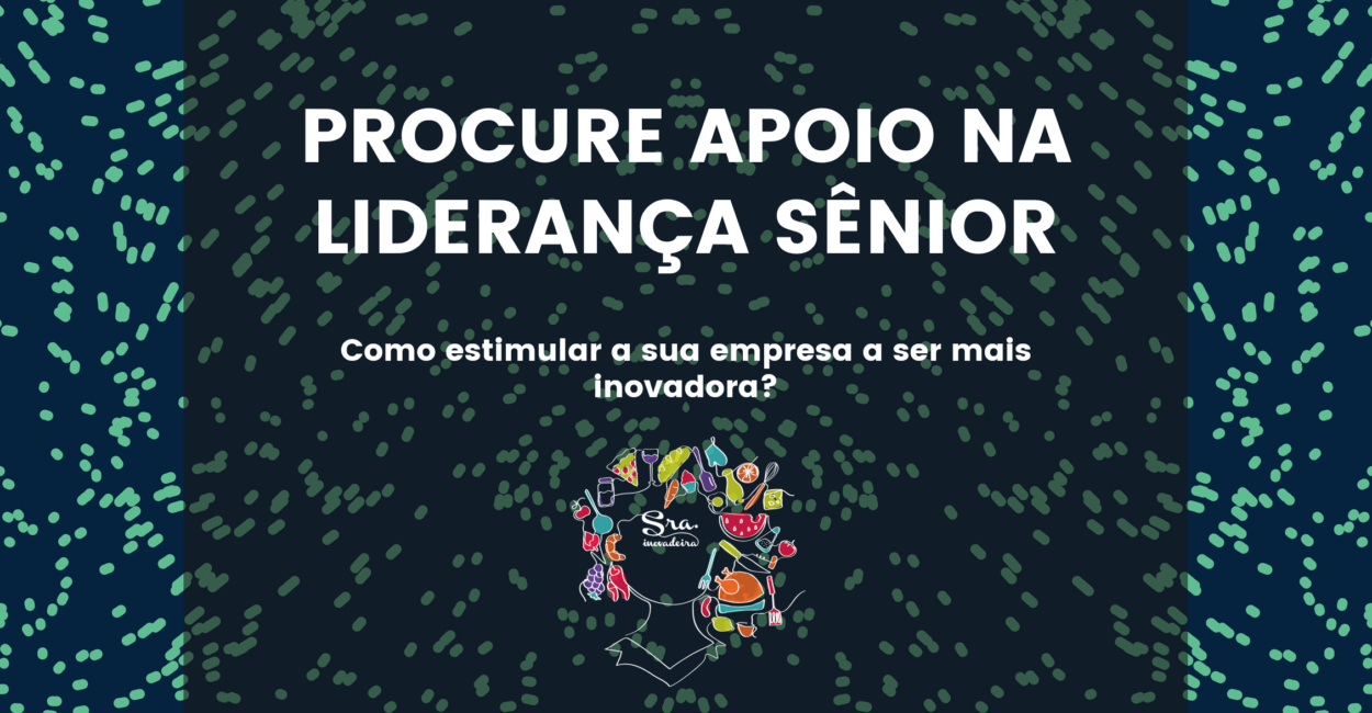 INICIATIVA 8 – PROCURE APOIO INTERNO NA LIDERANÇA SÊNIOR
