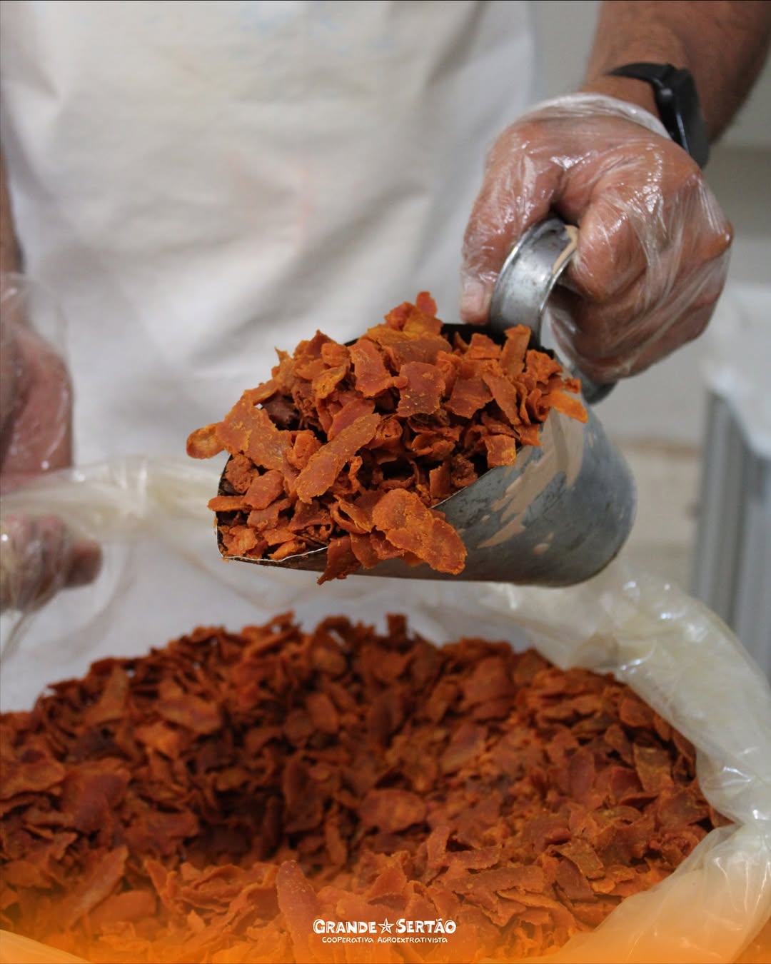 raspas de buriti