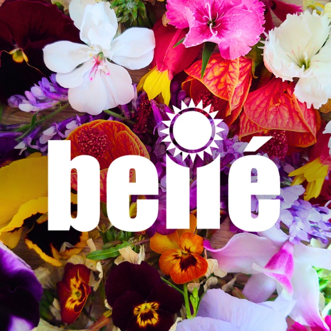 logo bellé